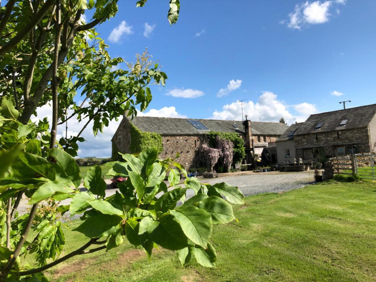 Crake Trees Manor Bed and Breakfast Crosby Ravensworth Buitenkant foto