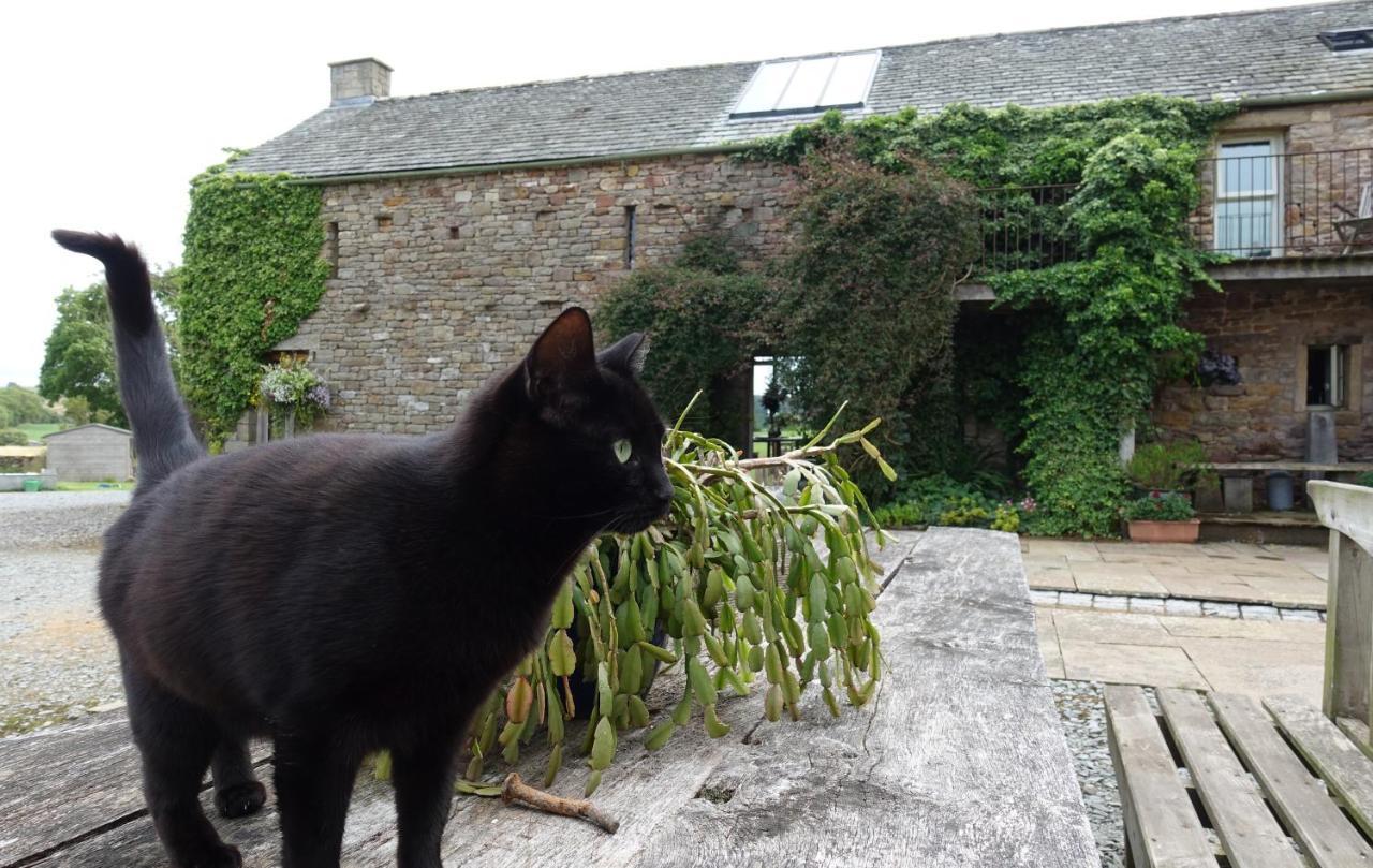 Crake Trees Manor Bed and Breakfast Crosby Ravensworth Buitenkant foto